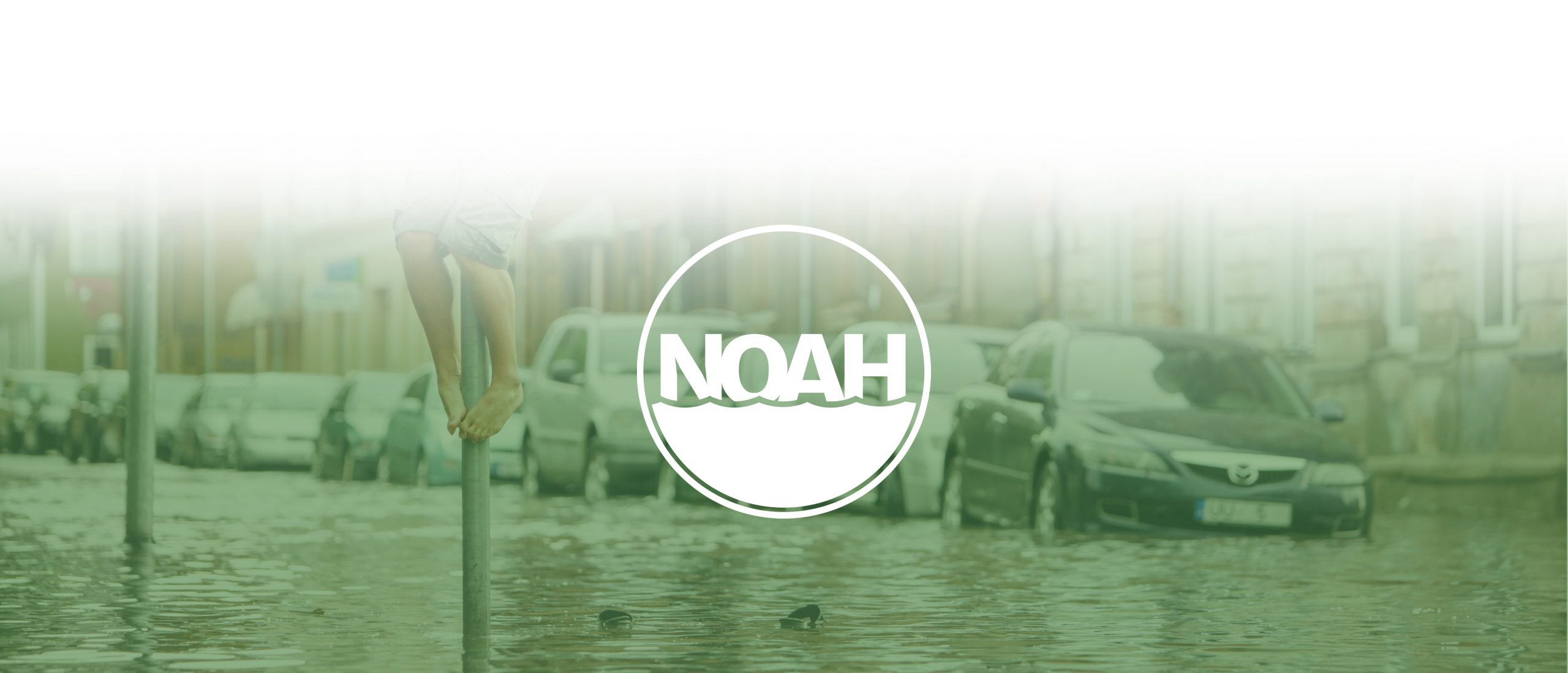 NOAH cover photo and logo.